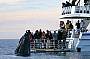 Unique water level platform